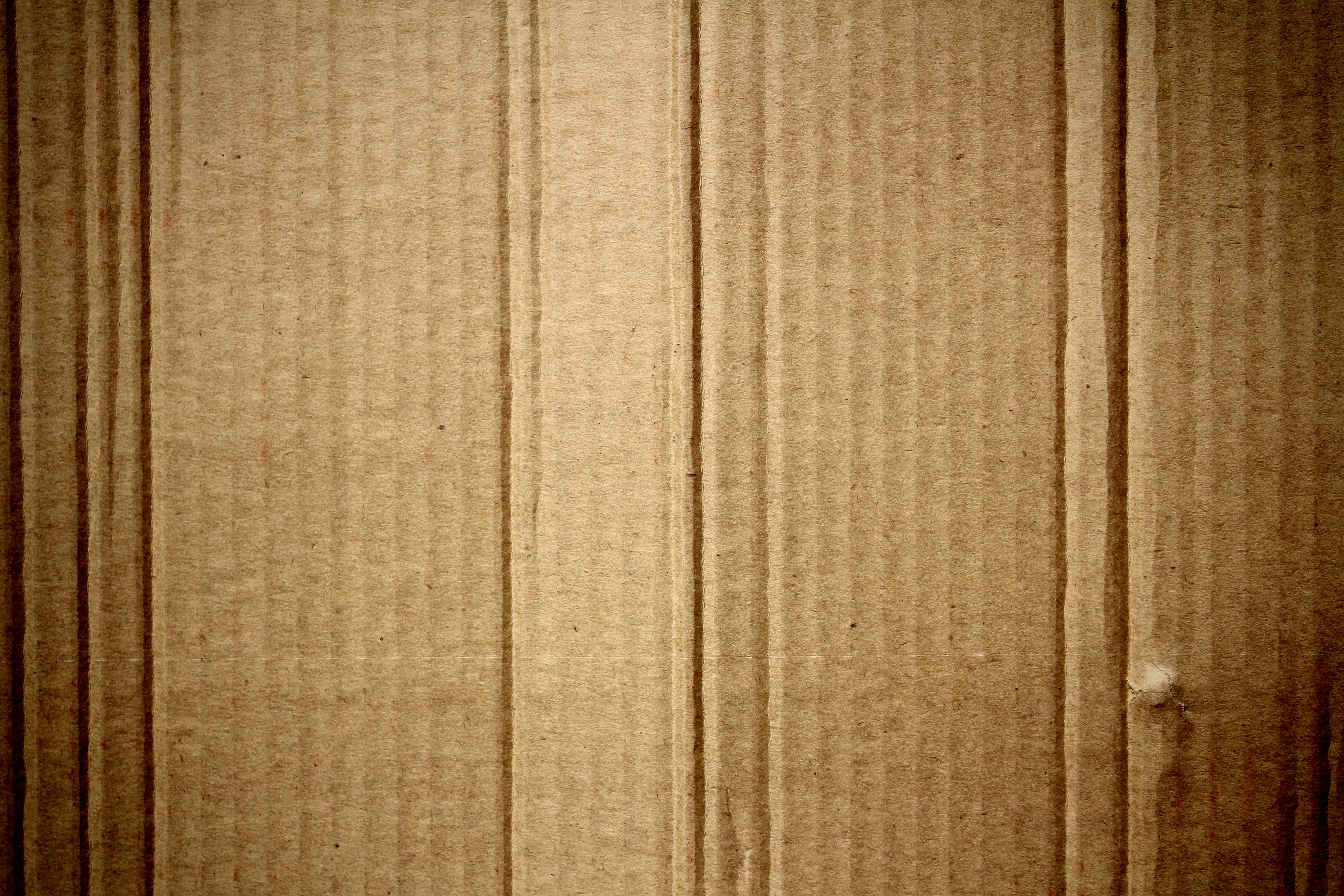 cardboard